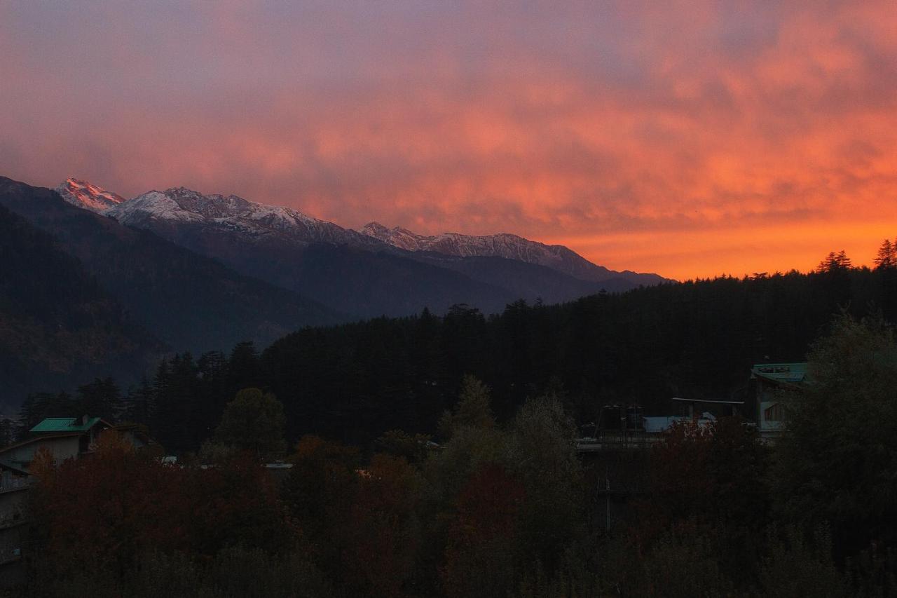 Hostel Yolo Backpackers Max - Manali Exteriér fotografie