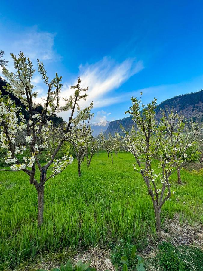 Hostel Yolo Backpackers - Manali Exteriér fotografie