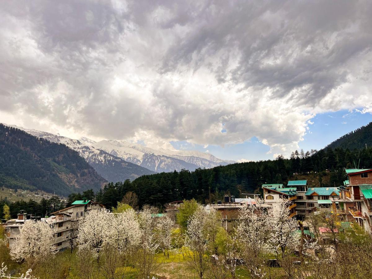 Hostel Yolo Backpackers Max - Manali Exteriér fotografie