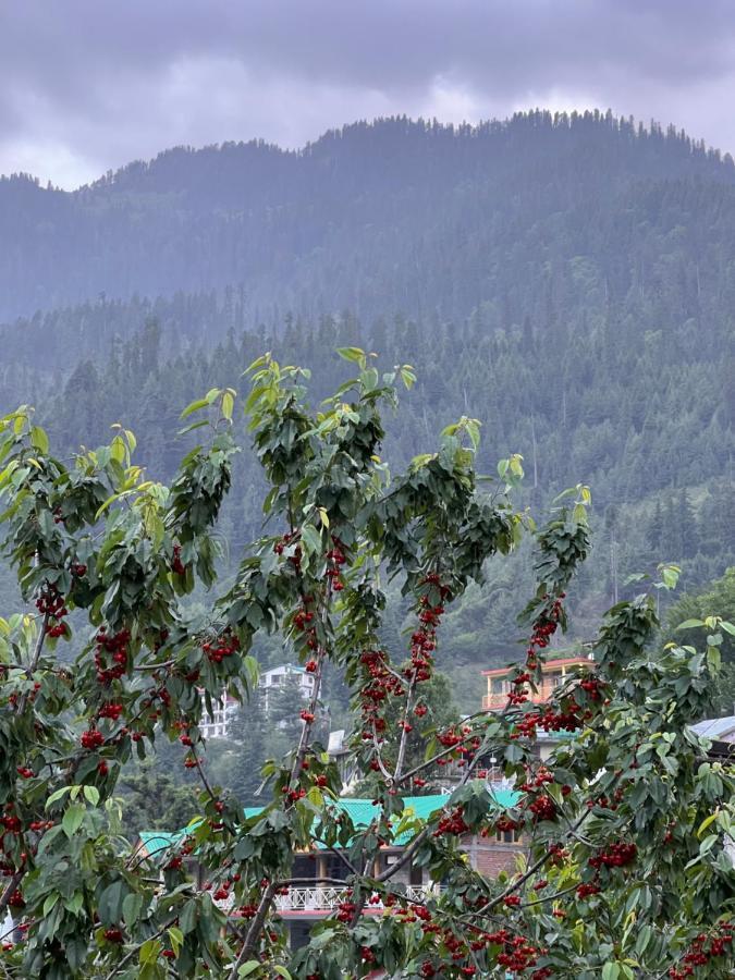 Hostel Yolo Backpackers Max - Manali Exteriér fotografie