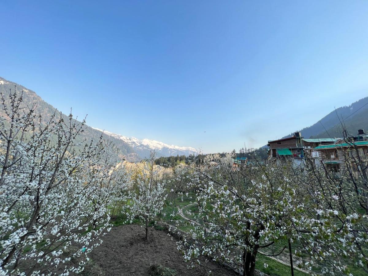 Hostel Yolo Backpackers - Manali Exteriér fotografie