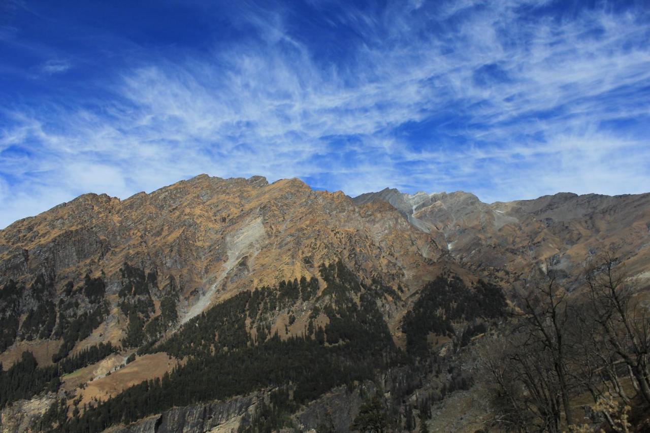 Hostel Yolo Backpackers - Manali Exteriér fotografie